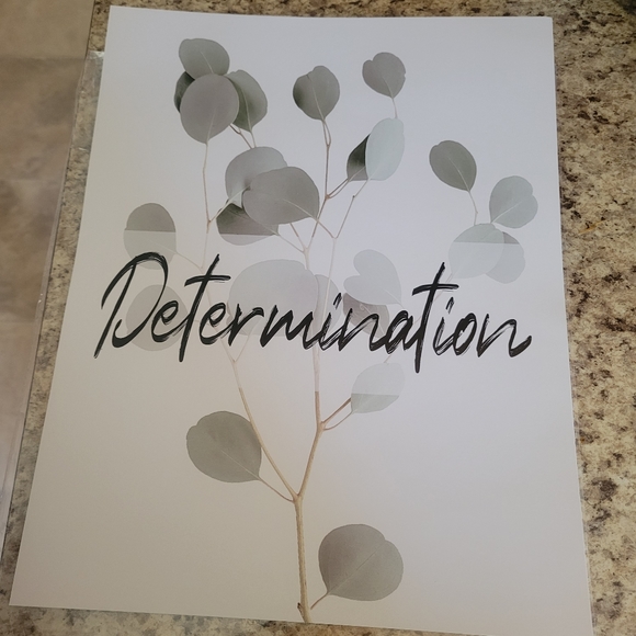 Six Botanical print wall art Eucalyptus leaves - Picture 6 of 8